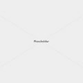 placeholder 1600