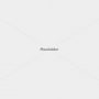 placeholder 1600