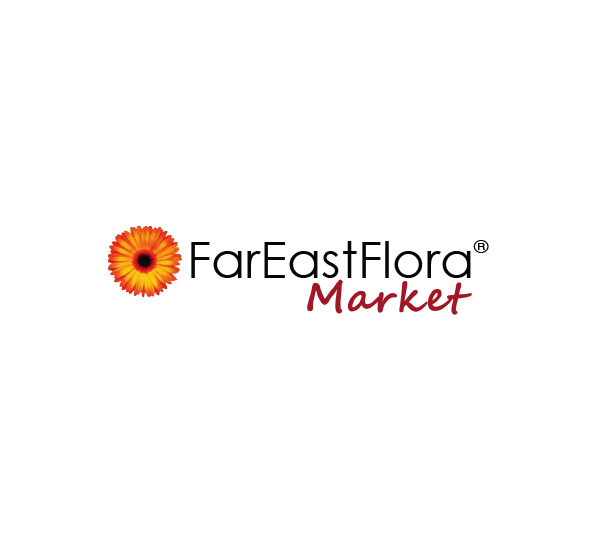 fefm logo